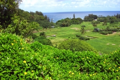 Maui16_162